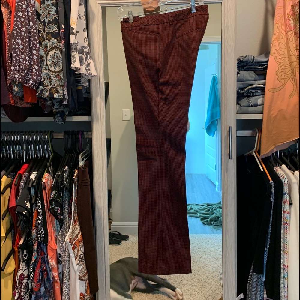 Express slacks